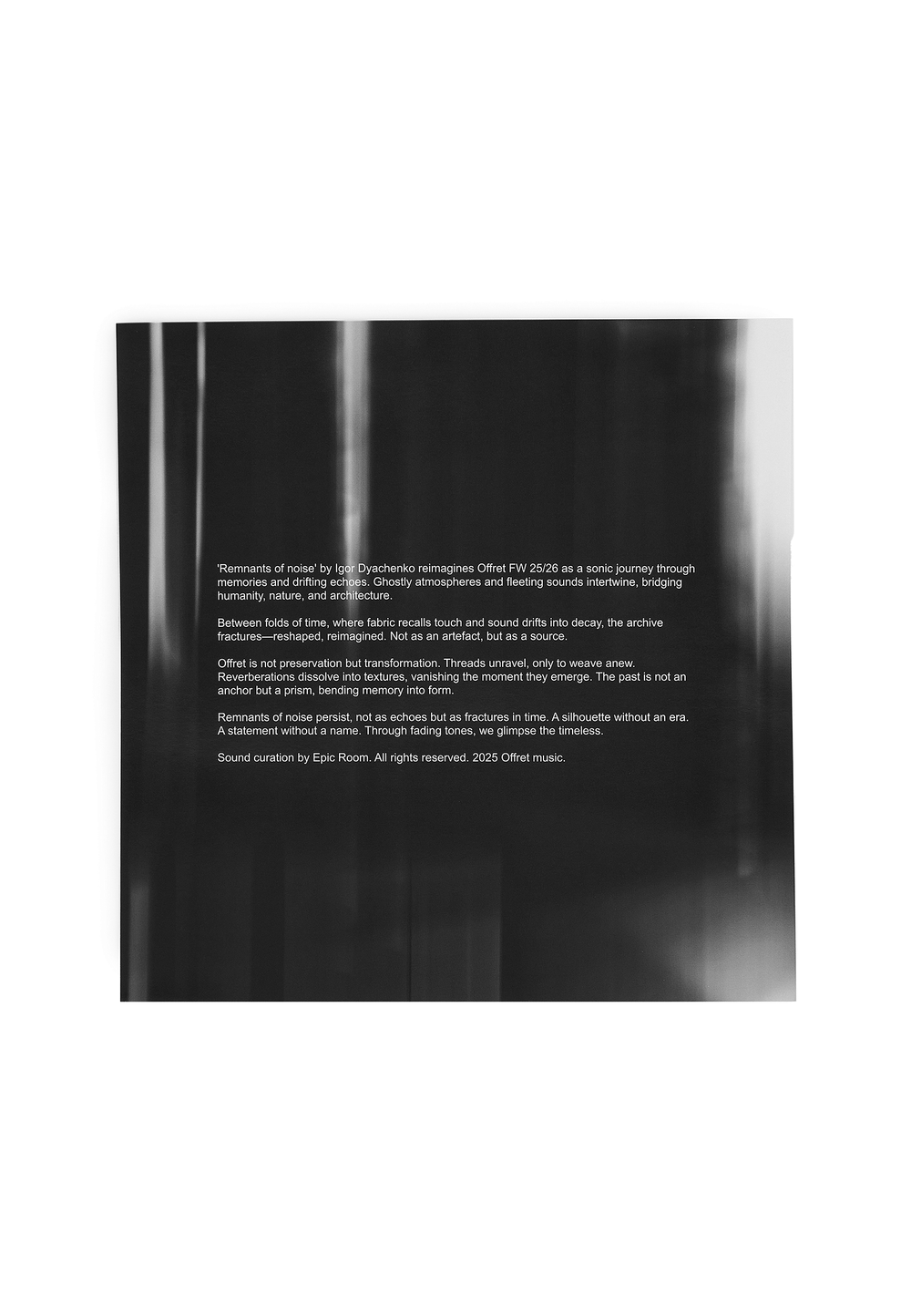 VINYL Remnants of Noise