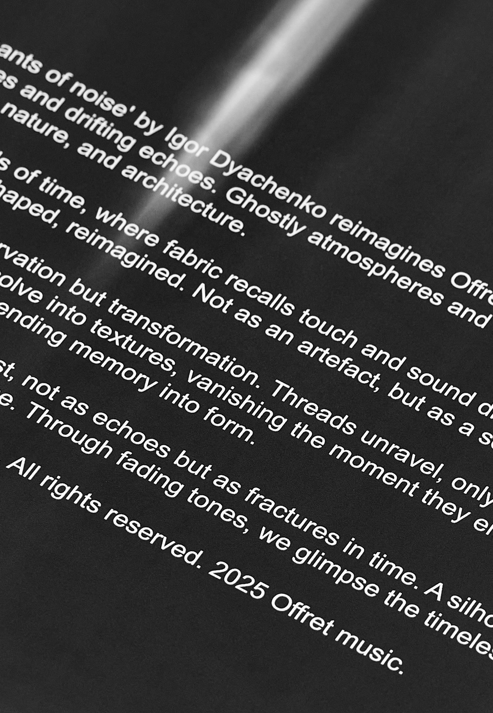 VINYL Remnants of Noise