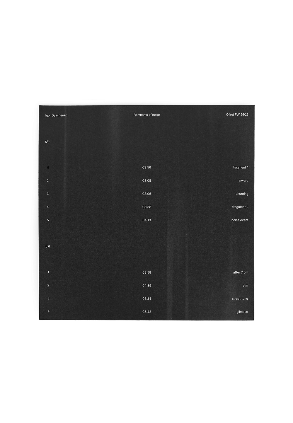 VINYL Remnants of Noise