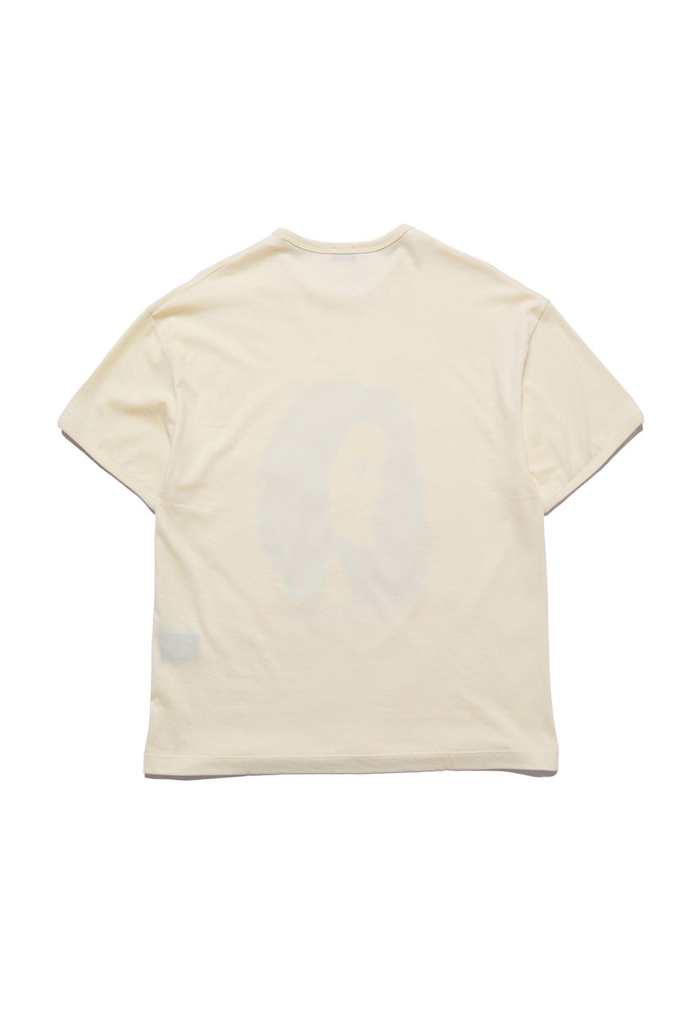 Футболка Charlotte (Шарлотта)